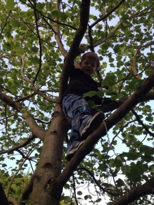 Mit voller Freude dabei!