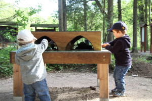 Gemeinsam erkunden sie die Ausstellug im Tierpark. Interlektueller Kulturausflug im Tierpark! Hat man nicht jeden Tag! ;)