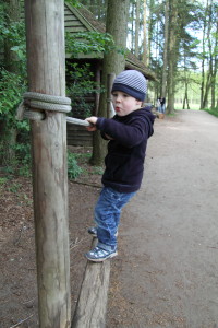 Im aktiv-gestalteten Park war dann für den Baron kein Halten mehr. Seine Kletterkünste wurden hier auf die Probe gestellt!