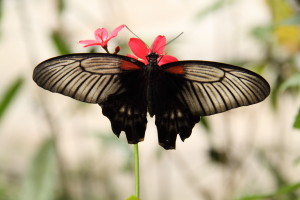 Und die Mama konnte endlich die HighTec Camera nutzen, um tolle Aufnahmen zu machen.